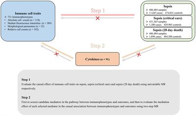 Dissecting the mediating role of cytokines in the interaction between immune traits and sepsis: insights from comprehensive mendelian randomization